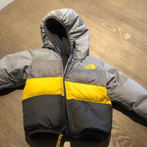 The NorthFace toddler winter jacket